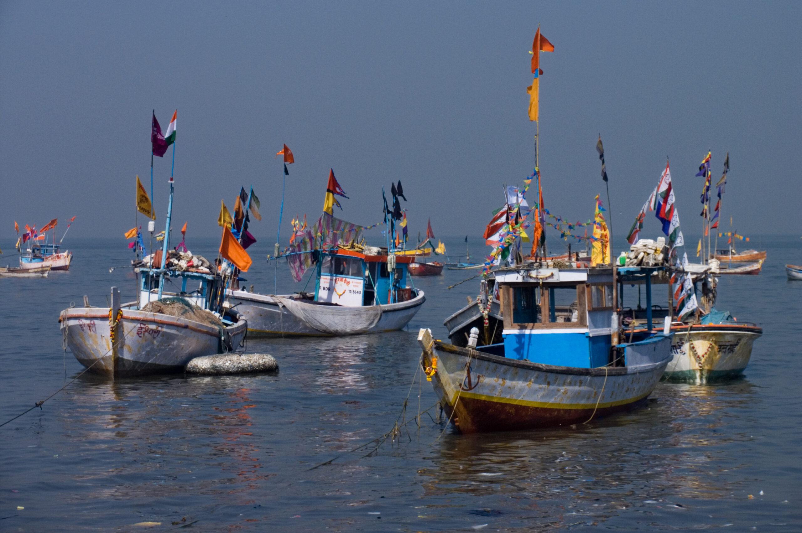https://upload.wikimedia.org/wikipedia/commons/e/e9/India_-_Fishing_boats_-_7250.jpg
